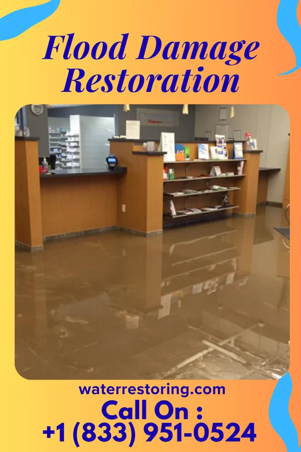 Flood Damage Restoration in Boca Raton, FL